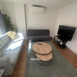 Modern 2 Bed 2 Bath Apartment Hyde Park